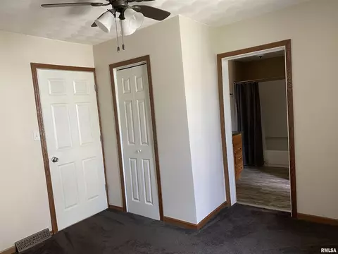 716 E Locust St, Canton, IL 61520 photo 24
