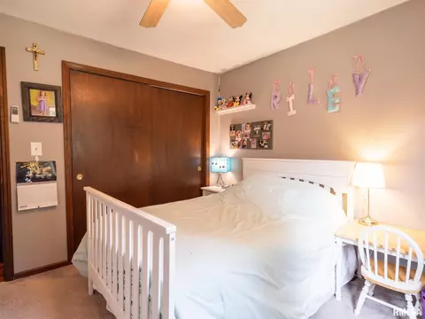 4300 S Arn Ct, Mapleton, IL 61547 photo 30