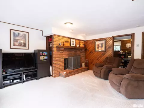 4300 S Arn Ct, Mapleton, IL 61547 photo 36