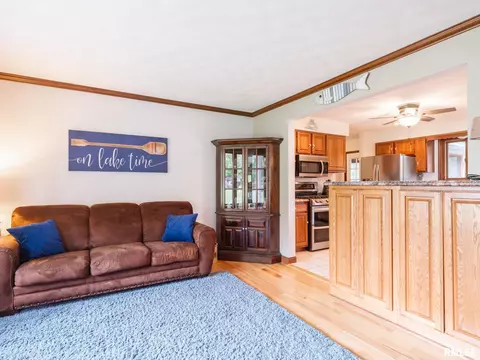 4300 S Arn Ct, Mapleton, IL 61547 photo 9