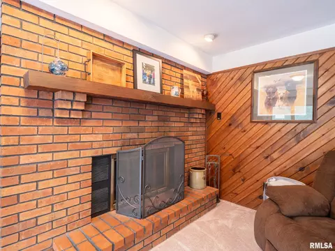 4300 S Arn Ct, Mapleton, IL 61547 photo 39