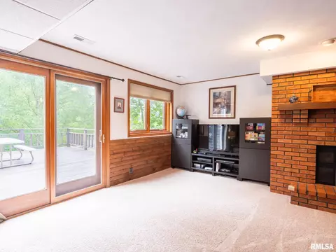 4300 S Arn Ct, Mapleton, IL 61547 photo 34
