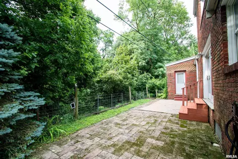 303 N Kickapoo Ter, Peoria, IL 61604 photo 38