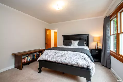 303 N Kickapoo Ter, Peoria, IL 61604 photo 28