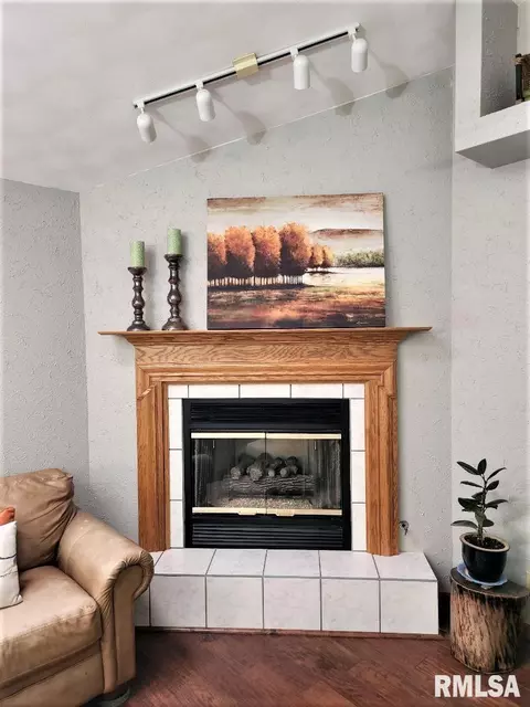4106 W Simpson Dr, Dunlap, IL 61525 photo 8