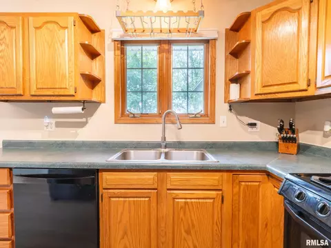176 E Freedom Ln, Manito, IL 61546 photo 16