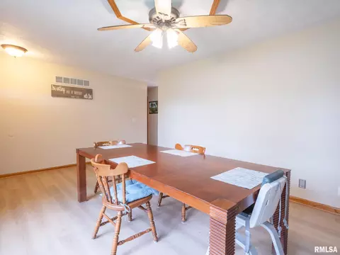 176 E Freedom Ln, Manito, IL 61546 photo 9