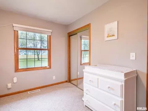 176 E Freedom Ln, Manito, IL 61546 photo 28