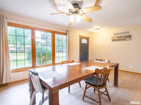 176 E Freedom Ln, Manito, IL 61546 photo 7
