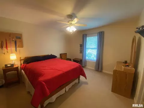 11215 N Jason Dr, Dunlap, IL 61525 photo 17