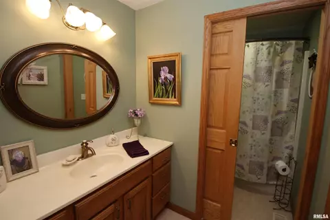 13816 N Simpson Dr, Dunlap, IL 61525 photo 44