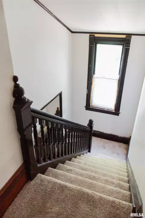 408 E 4th St, Delavan, IL 61734 photo 23