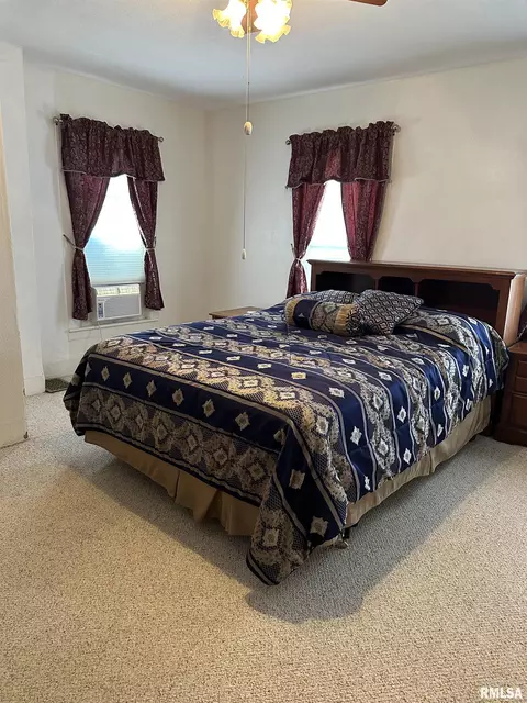 108 E College Ave, Eureka, IL 61530 photo 16