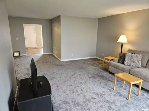 225 Scotch Pine Dr, Macomb, IL 61455 photo 5