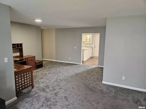 225 Scotch Pine Dr, Macomb, IL 61455 photo 6