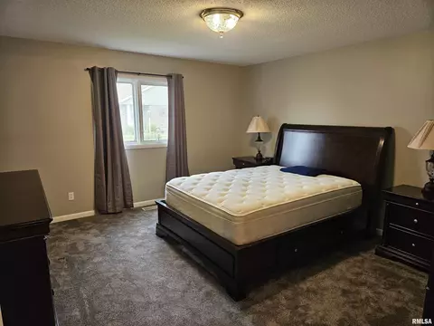 225 Scotch Pine Dr, Macomb, IL 61455 photo 15