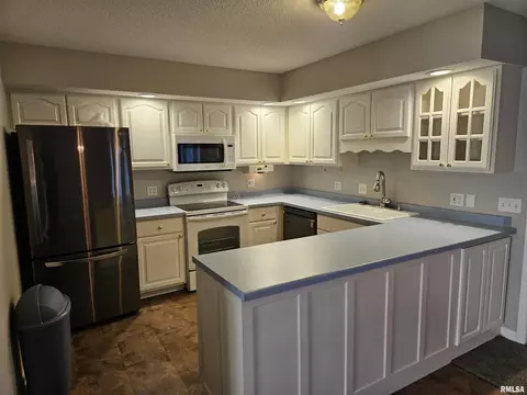 225 Scotch Pine Dr, Macomb, IL 61455 photo 9