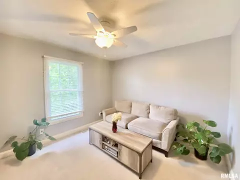 6713 N Sumac Rd, Edwards, IL 61528 photo 36