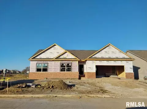 11007 N Woodale Dr, Dunlap, IL 61525
