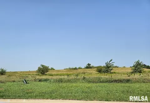 lot80 Kyle Ct, Metamora, IL 61548