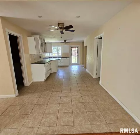 725 E Ash St, Canton, IL 61520 photo 6