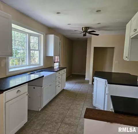 725 E Ash St, Canton, IL 61520 photo 4