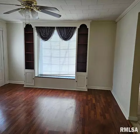 725 E Ash St, Canton, IL 61520 photo 7