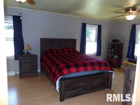 103 S State St, Bryant, IL 61519 photo 10