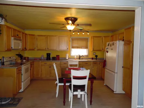 103 S State St, Bryant, IL 61519 photo 29