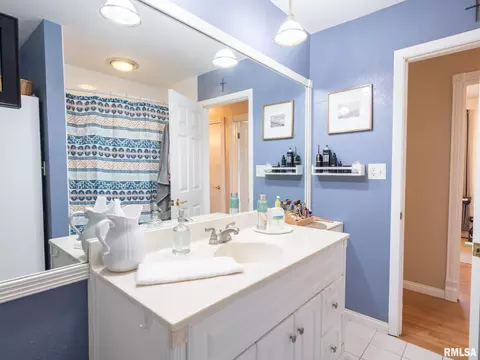 113 Pieper Cir, Delavan, IL 61734 photo 25
