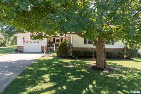 113 Pieper Cir, Delavan, IL 61734 photo 43