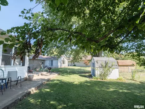 113 Pieper Cir, Delavan, IL 61734 photo 45