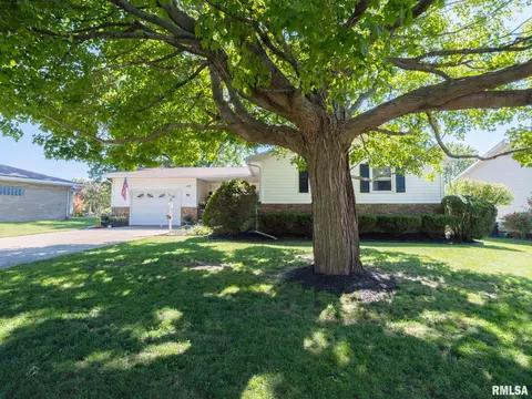 113 Pieper Cir, Delavan, IL 61734 photo 44