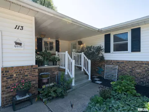 113 Pieper Cir, Delavan, IL 61734 photo 37