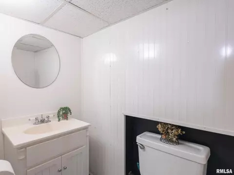 113 Pieper Cir, Delavan, IL 61734 photo 32
