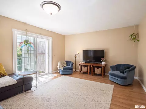113 Pieper Cir, Delavan, IL 61734 photo 13