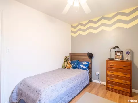 113 Pieper Cir, Delavan, IL 61734 photo 30