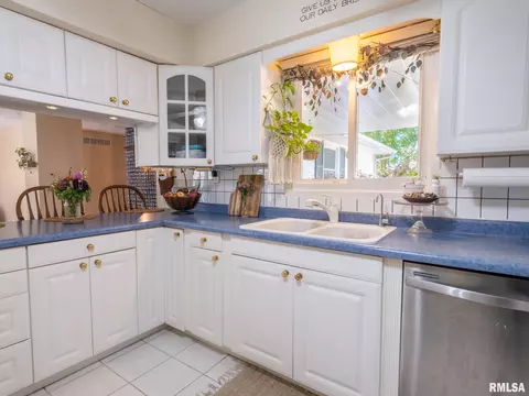 113 Pieper Cir, Delavan, IL 61734 photo 18