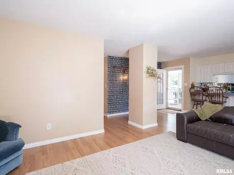 113 Pieper Cir, Delavan, IL 61734 photo 12