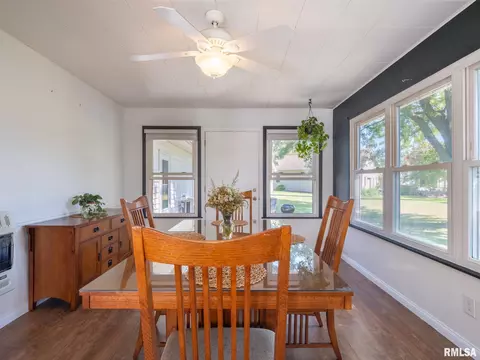 113 Pieper Cir, Delavan, IL 61734 photo 23