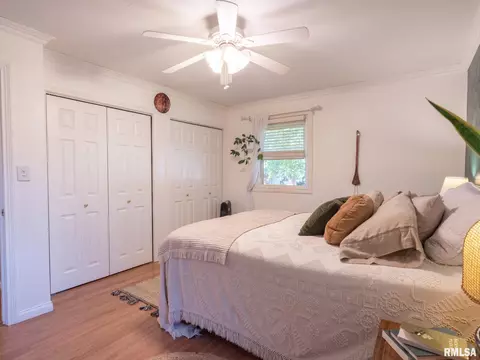 113 Pieper Cir, Delavan, IL 61734 photo 26