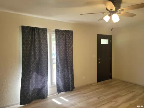 1425 E Spruce St, Canton, IL 61520 photo 2