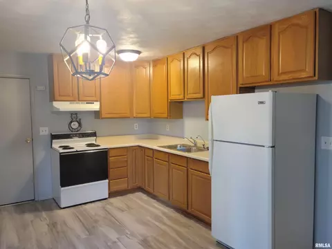 1425 E Spruce St, Canton, IL 61520 photo 8