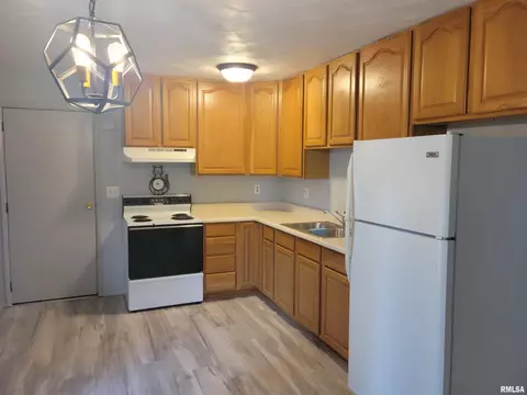 1425 E Spruce St, Canton, IL 61520 photo 7