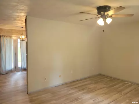 1425 E Spruce St, Canton, IL 61520 photo 5