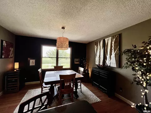 1264 Rebecca Ln, Macomb, IL 61455 photo 9
