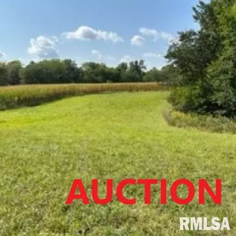 00 106th Ave, Milan, IL 61264