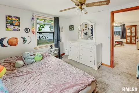 304 E 3rd St, Delavan, IL 61734 photo 15