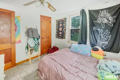304 E 3rd St, Delavan, IL 61734 photo 14