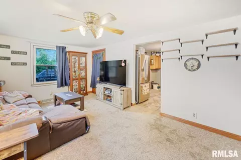 304 E 3rd St, Delavan, IL 61734 photo 7